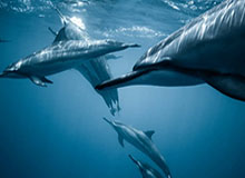 博鱼官网-于睿被诊断为轻微脑震荡 解释自己导致丢球全过程